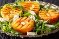 Summer salad with grilled peaches, with cream cheese, arugula, p