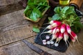 Summer salad ingredients, organic vegetables and olive oil. Raw fresh juicy radish on a rustic table. Copy space. Royalty Free Stock Photo