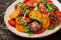 Summer salad of tomatoes of different colors with green herbs Royalty Free Stock Photo