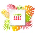 Summer sale abstract vector template with tropical leaves