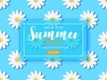 Summer sale background with daisy flowers Royalty Free Stock Photo