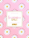 Summer sale background with daisy flowers Royalty Free Stock Photo