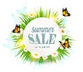 Summer sale background with grass, daisies and butterflies. Royalty Free Stock Photo