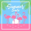 Summer sale background with pink flamingos silhouettes, vector, illustration