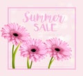 Summer sale background with pink gerbera Royalty Free Stock Photo