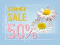 Summer sale banner with daisy flowers Royalty Free Stock Photo