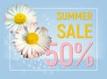 Summer sale banner with daisy flowers Royalty Free Stock Photo