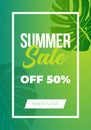 Summer sale banner with dual-tone gradient background and monsterra tropical leaves