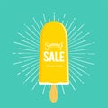 Summer sale on the ice cream vector illustration