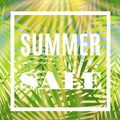 Summer sale banner with palms and sun. Royalty Free Stock Photo