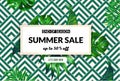 Summer Sale banner, promo poster with palm leaves, jungle tropical leaf. Floral tropical summer ads background. Super Royalty Free Stock Photo