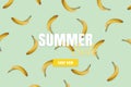 Summer sale banner. Special offer poster discount on the blue background with yellow bananas