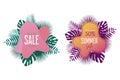 Summer sale banner template. Promotion banners design with palm leaves, exotic and tropic background. Promo stickers and badges.