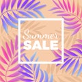 Summer sale bright poster with palm leaves on background Royalty Free Stock Photo