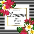 Summer sale Concept. Royalty Free Stock Photo