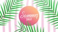 Summer sale. Design layout for banner, advertisement, card, poster etc. Background with trendy stripes, coconut palm Royalty Free Stock Photo