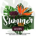 Summer sale design template. Tropical exotic plants monstera leaves, strelizia and tacca flower