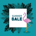 summer sale with flamish and exotic leaves Royalty Free Stock Photo