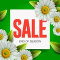 Summer Sale lettering and bouquet realistic daisy, camomile flowers on green background, online shopping, store Royalty Free Stock Photo