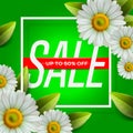 Summer Sale lettering and bouquet realistic daisy, camomile flowers on green background, online shopping, store Royalty Free Stock Photo