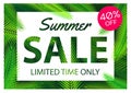 Summer sale offer banner palm coconut leaves overlay between white and pink label,modern and fashionable design