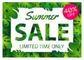 Summer sale offer banner philodendron leaves overlay between white and pink label,modern and fashionable design