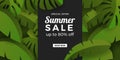 Summer sale offer promotion banner template with green botanical tropical leaves group jungle