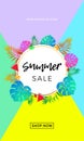 Summer sale poster of fruits and palm leaf vector online shopping banner Royalty Free Stock Photo