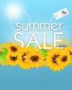 Summer sale with sunflowers