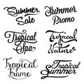 summer sale and tropical lettering set