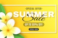 Summer sale web banner. Plumeria flowers on a yellow background in frame. Special offer. Creative decor text. Realistic tropical Royalty Free Stock Photo