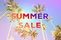 Summer sale web banner Royalty Free Stock Photo