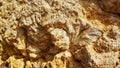 The summer sand rock stone background texture