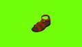 Summer sandal icon animation