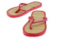 Summer Sandals Royalty Free Stock Photo