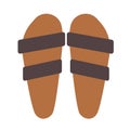 Summer sandals flat illustration