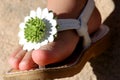 Summer Sandle Royalty Free Stock Photo