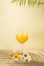 summer sandy beach aesthetic idea.yellow sunny drink with shells and flowers around it.palm tropic shadows Royalty Free Stock Photo