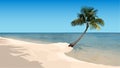 Summer Sandy Beach with Palm and Sea Horizon