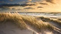 summer sandy dunescape coastal Royalty Free Stock Photo