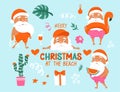 Summer Santa characters. Tropical Christmas and Happy New Year in a warm climate collection. Royalty Free Stock Photo