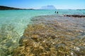 Summer in Sardinia Royalty Free Stock Photo