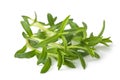 Summer Savory bunch