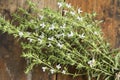 Summer Savory , Satureja Hortensis, Bunch Royalty Free Stock Photo