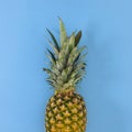 Summer scene background with fresh tropic pineapple on pastel blue theme. Flat lay fruit minimal Royalty Free Stock Photo