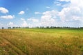 Beautiful Landscape with Green Grass and Field, Blue Sky at Sunny Day Royalty Free Stock Photo