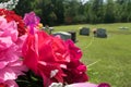 Pink and red fabric flowers in cemetery