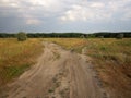 Summer scene with sandy road fork on the meadow and forest on the horizon