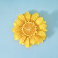 Summer scene with yellow sunflower flower with fresf orange fruit inside. Sun and shadows. Minimal nature background. Flat lay Royalty Free Stock Photo