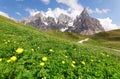 Summer scenery of beautiful Dolomites with lovely wild flowers blooming on a grassy hillside